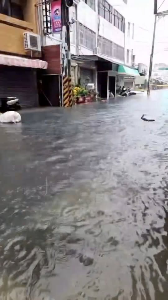 永康區街道因強降雨造成積水的實際情形